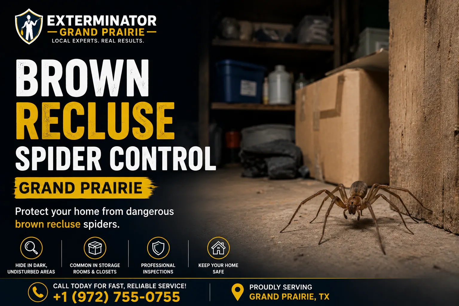 Brown recluse spider control treatment in Grand Prairie TX