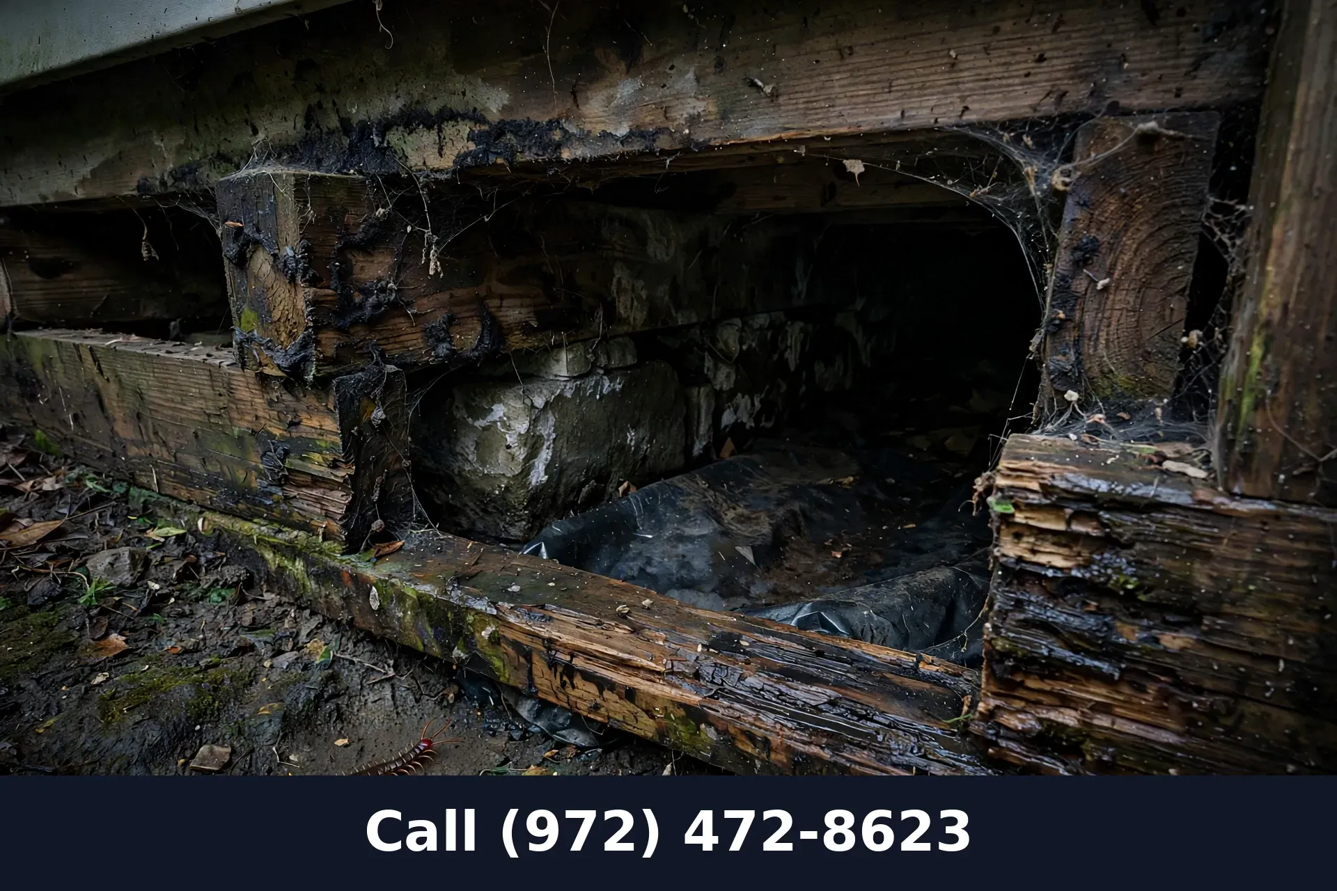 Damp crawl space under a Grand Prairie TX home showing moisture that attracts centipedes