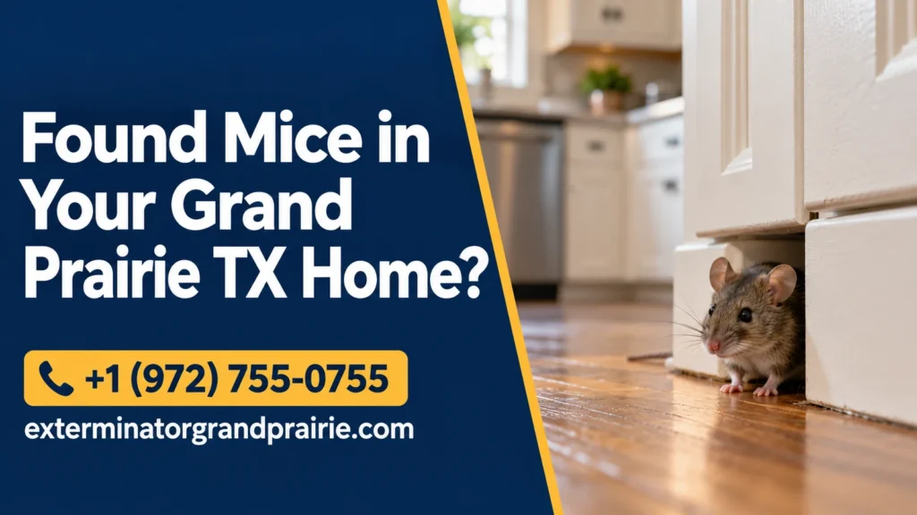 Illustration of a house mouse peeking from a gap beside a kitchen cabinet.