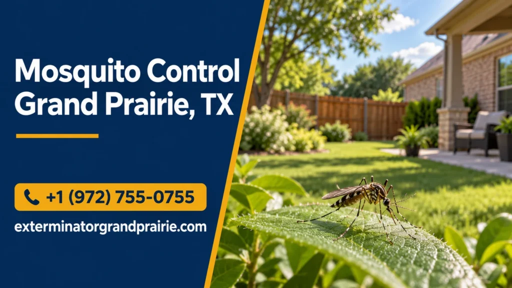 Illustration of a mosquito resting on a leaf with a residential backyard in the background.